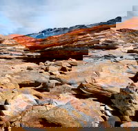 Broome City Sightseeing Tour with Optional Camel Ride - Taree Accommodation