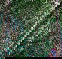 Atherton Tablelands Rain Forest by Night from Cairns - Taree Accommodation