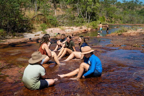 Litchfield National Park Waterfalls And Wildlife Tour From Darwin - Taree Accommodation 1