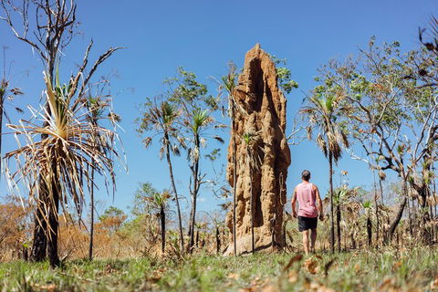 Litchfield National Park Waterfalls And Wildlife Tour From Darwin - Taree Accommodation 4