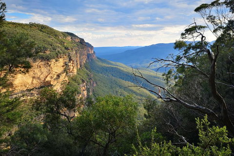 Blue Mountains Day Tour With Wildlife At Sunset From Sydney - Taree Accommodation 5