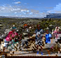 McLaren Vale Wine Tour by Bike - Taree Accommodation