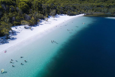 All-Inclusive Fraser Island Day Tour - Taree Accommodation 0