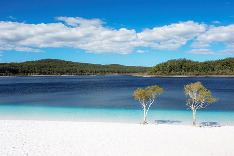 All-Inclusive Fraser Island Day Tour - Taree Accommodation 3