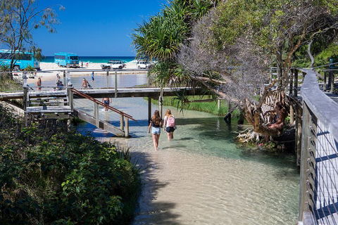 All-Inclusive Fraser Island Day Tour - Taree Accommodation 4