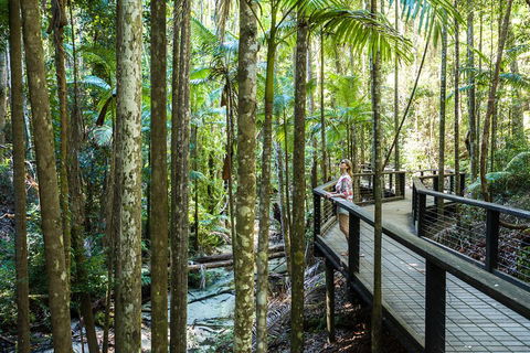 All-Inclusive Fraser Island Day Tour - Taree Accommodation 5
