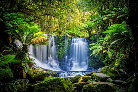 Day Tour In Mt. Field, Mt. Wellington, Bonorong Wildlife Sanctuary And Richmond - Taree Accommodation 0