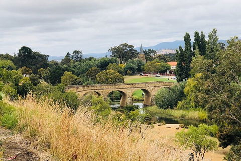 Day Tour In Mt. Field, Mt. Wellington, Bonorong Wildlife Sanctuary And Richmond - Taree Accommodation 3