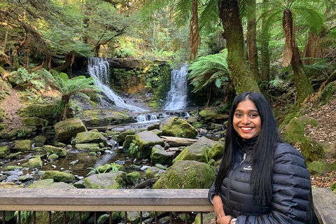 Day Tour In Mt. Field, Mt. Wellington, Bonorong Wildlife Sanctuary And Richmond - Taree Accommodation 5