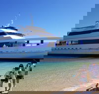 Moreton Island Day Trip Kayak Snorkel  Sandboard frm Brisbane or Gold Coast - Taree Accommodation