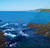 Julian Rocks Byron Bay Cruise - Taree Accommodation