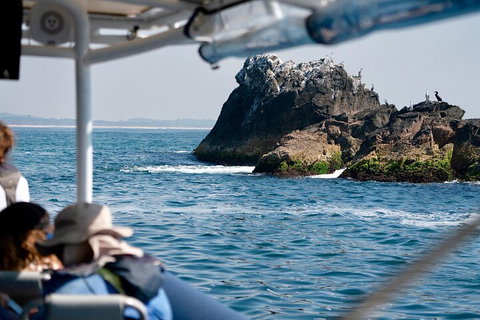 Julian Rocks Byron Bay Cruise - Taree Accommodation 2