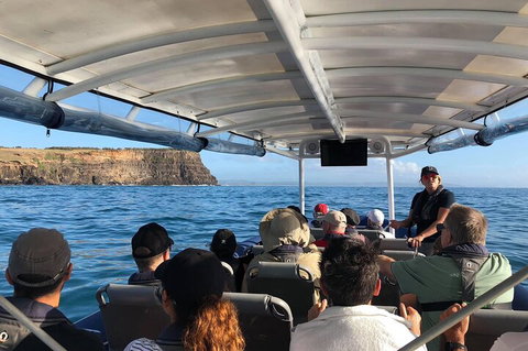 Julian Rocks Byron Bay Cruise - Taree Accommodation 4