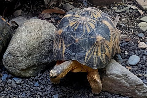 Hartley's Crocodile Adventures General Entry Ticket - Taree Accommodation 2