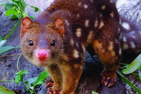 Hartley's Crocodile Adventures General Entry Ticket - Taree Accommodation 4