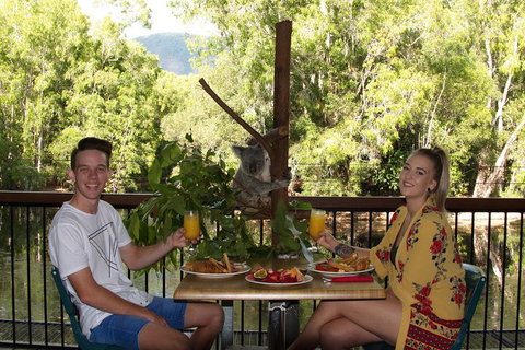 Hartley's Crocodile Adventures Breakfast With The Koalas - Taree Accommodation 5