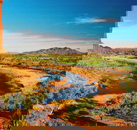 West MacDonnell Ranges Day Trip from Alice Springs - Taree Accommodation