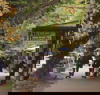 Adelaide Highlights Hahndorf  McLaren Vale Wine Tasting and Sightseeing Tour - Taree Accommodation