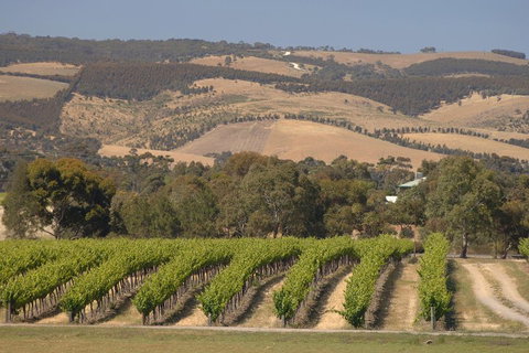 McLaren Vale And Glenelg Wine Tasting And Sightseeing (Half-day Afternoon) - Taree Accommodation 2