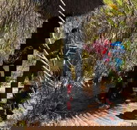 Kangaroo Island Quad Bike ATV Tours - Taree Accommodation