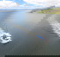 2.5 hour Afternoon Discovery Cruise including Cataract Gorge departs at 1 30 pm - Taree Accommodation