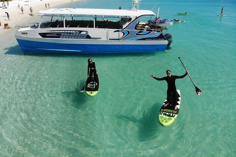 Whitsunday Bullet Day Trip - Whitehaven Beach And Snorkelling - Taree Accommodation 4