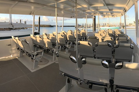 Whitsunday Bullet Day Trip - Whitehaven Beach And Snorkelling - Taree Accommodation 5