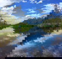 Noosa Everglades Serenity Cruise  Highlights Tour Inc. Lunch  Cruise - Taree Accommodation