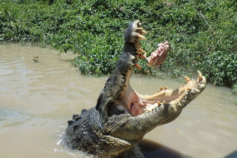 Litchfield And Jumping Crocodiles Full Day Trip From Darwin - Taree Accommodation 3