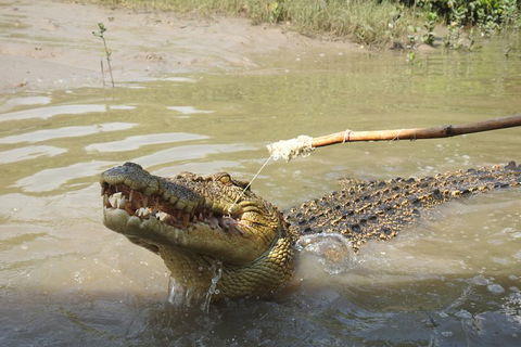 Litchfield And Jumping Crocodiles Full Day Trip From Darwin - Taree Accommodation 4