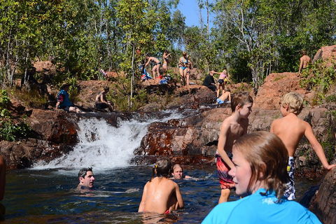 Litchfield And Jumping Crocodiles Full Day Trip From Darwin - Taree Accommodation 5