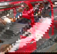 Blue Mountains Private Tour with Wildlife Park and River Cruise - Taree Accommodation