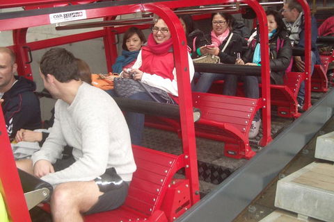 Blue Mountains Private Tour With Wildlife Park And River Cruise - Taree Accommodation 0
