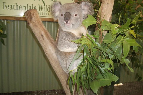Blue Mountains Private Full-Day Tour From Sydney With Cruise - Taree Accommodation 0