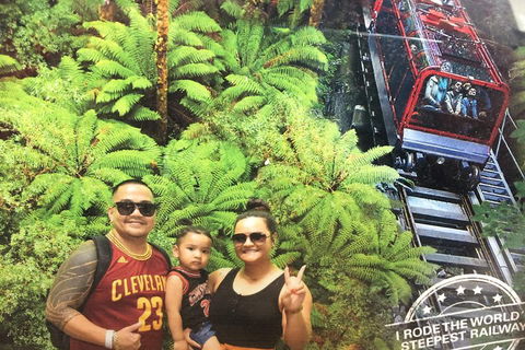 Blue Mountains Private Full-Day Tour From Sydney With Cruise - Taree Accommodation 3