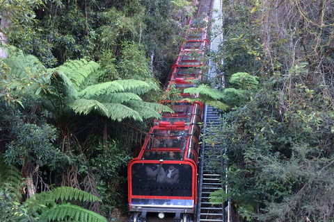 Blue Mountains Private Full-Day Tour From Sydney With Cruise - Taree Accommodation 5