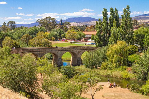 Wineglass Bay & Freycinet NP Full Day Tour From Hobart Via Richmond Village - Taree Accommodation 4
