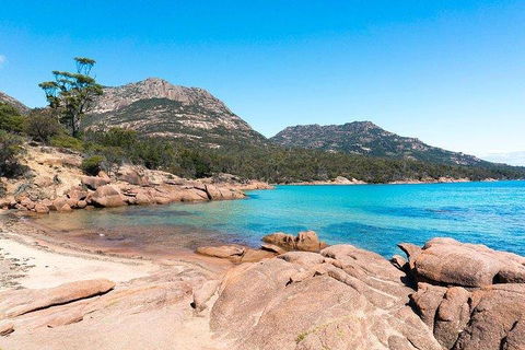 Wineglass Bay & Freycinet NP Full Day Tour From Hobart Via Richmond Village - Taree Accommodation 5