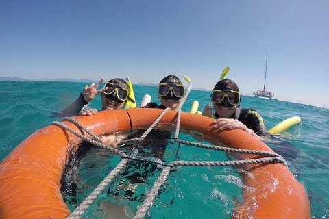 Full-Day Great Barrier Reef Sailing Trip - Taree Accommodation 0