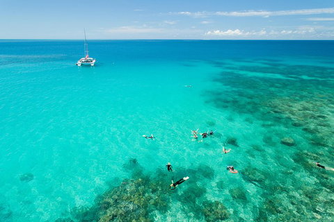 Full-Day Great Barrier Reef Sailing Trip - Taree Accommodation 2