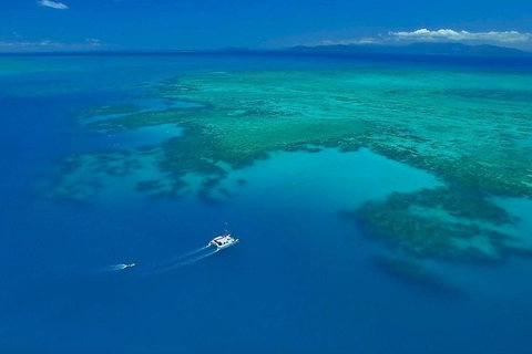 Full-Day Great Barrier Reef Sailing Trip - Taree Accommodation 3