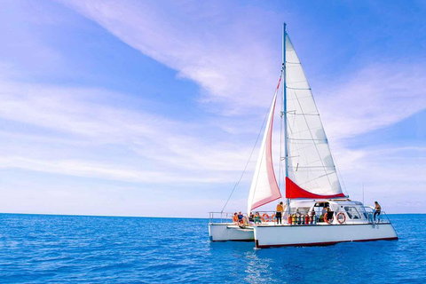 Full-Day Great Barrier Reef Sailing Trip - Taree Accommodation 4