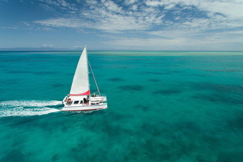 Full-Day Great Barrier Reef Sailing Trip - Taree Accommodation 5