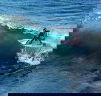 Great Ocean Road Highlights Tour - 2 Days 1 Night - Taree Accommodation