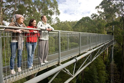 Adventure Sunset Three Day Great Ocean Road Tour - Taree Accommodation 0