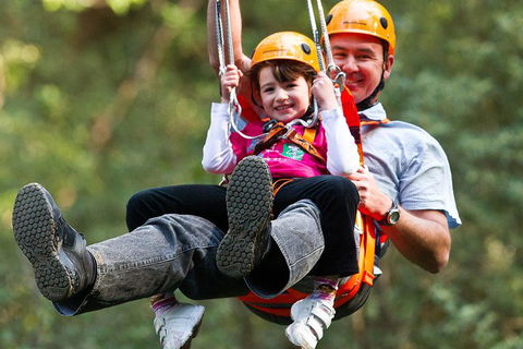 Adventure Sunset Three Day Great Ocean Road Tour - Taree Accommodation 4