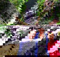 Exclusive Private Tour - Design your own - Taree Accommodation