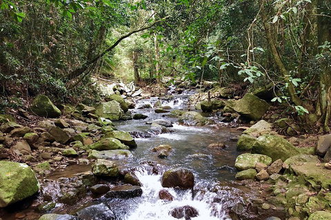 Exclusive Private Tour - Design Your Own - Taree Accommodation 1