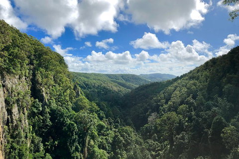 Exclusive Private Tour - Design Your Own - Taree Accommodation 3