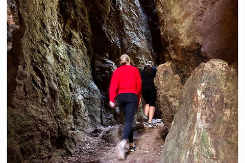 Exclusive Private Tour - Design Your Own - Taree Accommodation 4